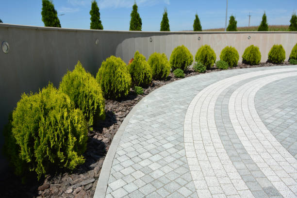 Best Commercial Driveway Pavers  in East Brooklyn, CT